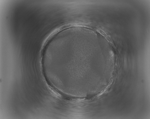 X0000071780197200607150104