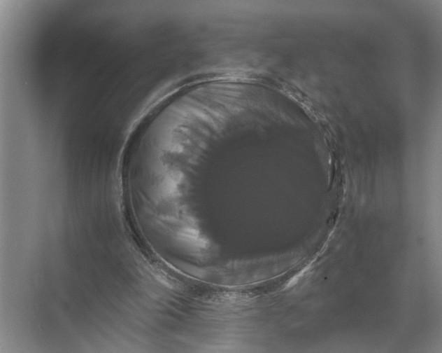 X0000071780198200607150103