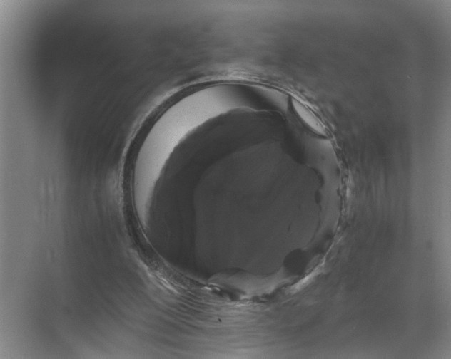 X0000071780200200607150103