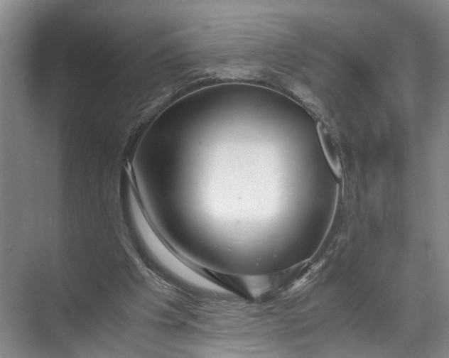 X0000071780201200607150103