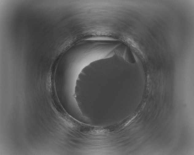 X0000071780202200607150103