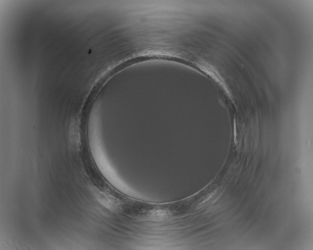 X0000071780204200607150103