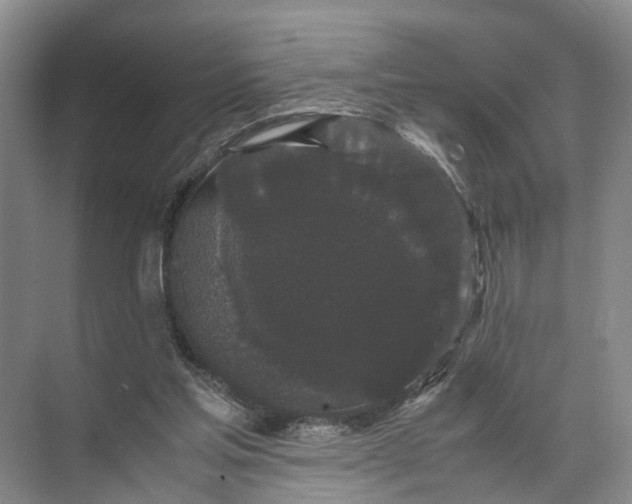 X0000071780205200607150103