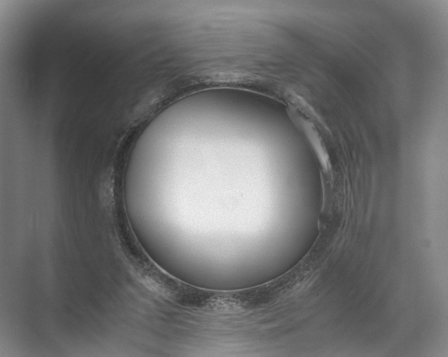 X0000071780207200607150103