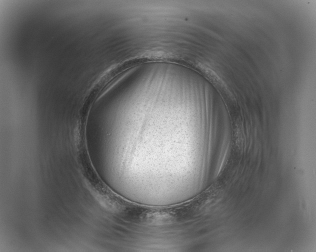 X0000071780208200607150103