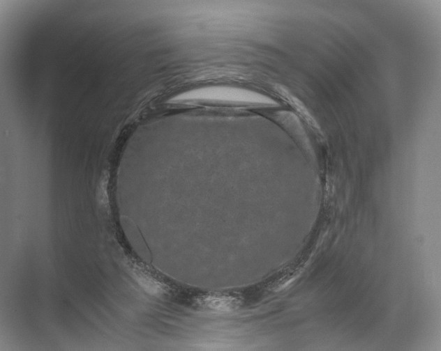 X0000071780209200607150103