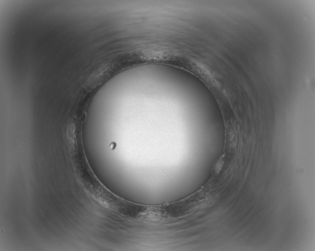 X0000071780211200607150103