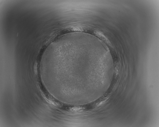 X0000071780213200607150103