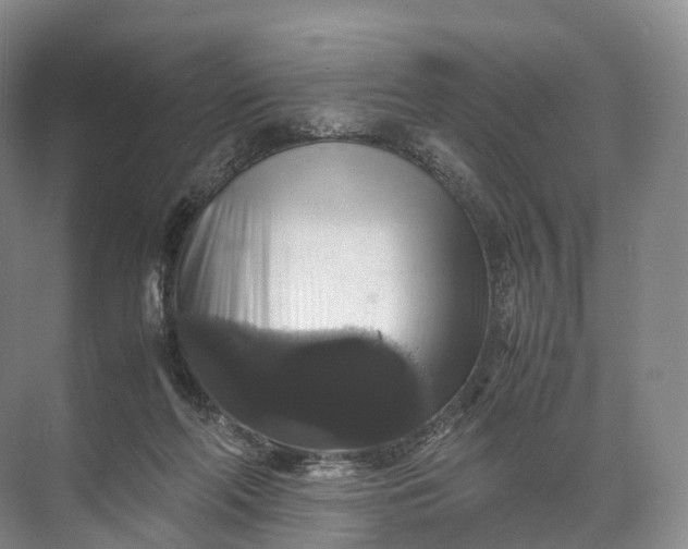 X0000071780214200607150103