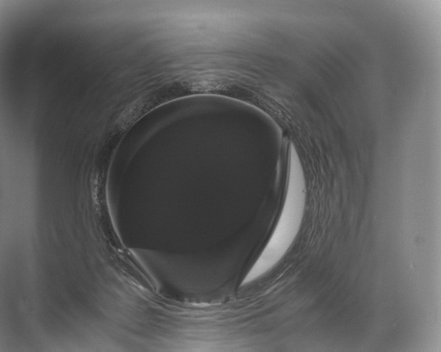 X0000071780219200607150103