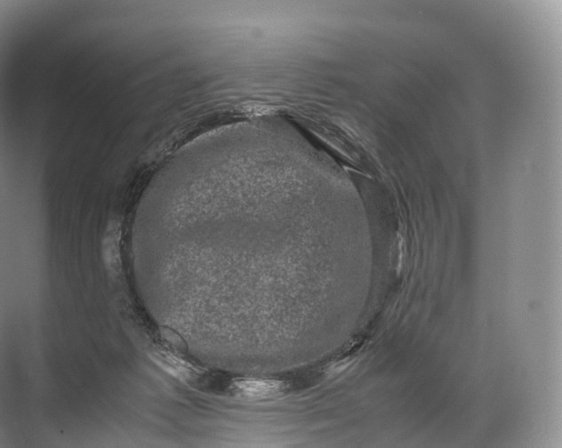 X0000071780221200607150103