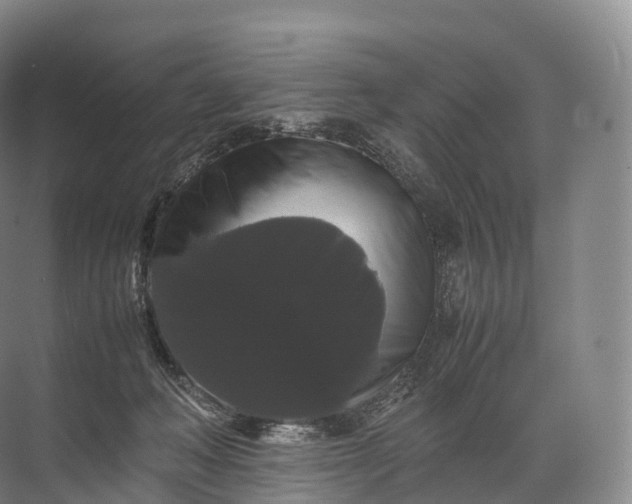 X0000071780222200607150103