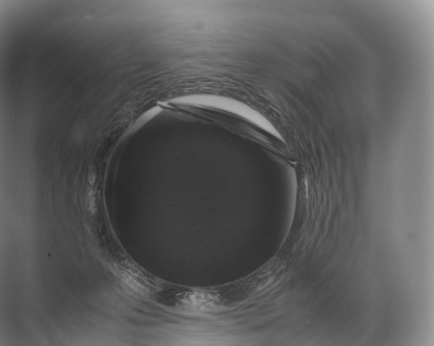 X0000071780223200607150103