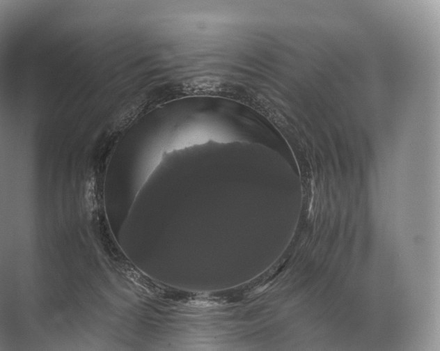 X0000071780224200607150103