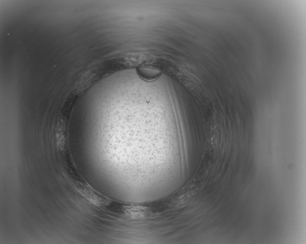 X0000071780226200607150103