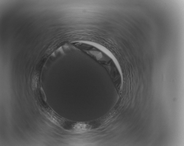 X0000071780227200607150103