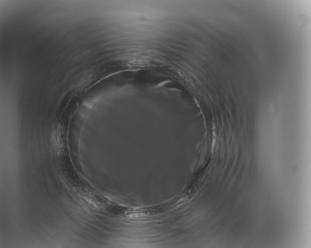 X0000071780228200607150103