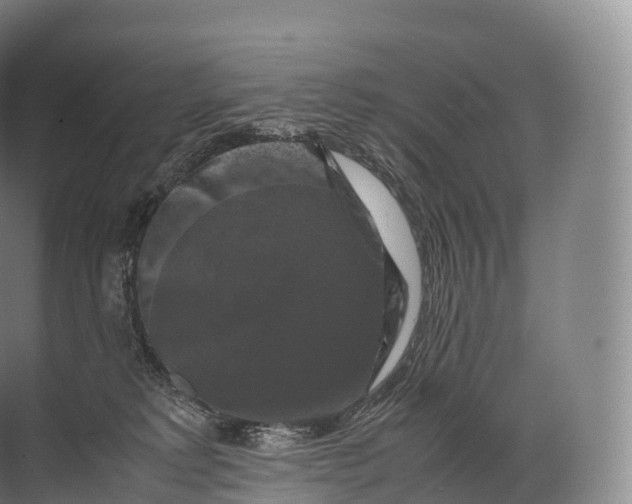 X0000071780229200607150103