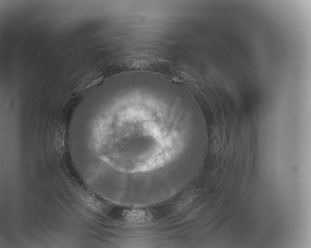 X0000071780230200607150103