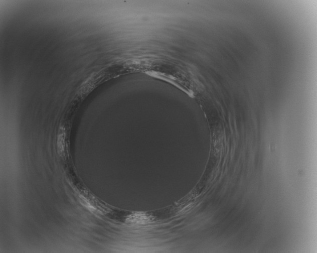 X0000071780231200607150103