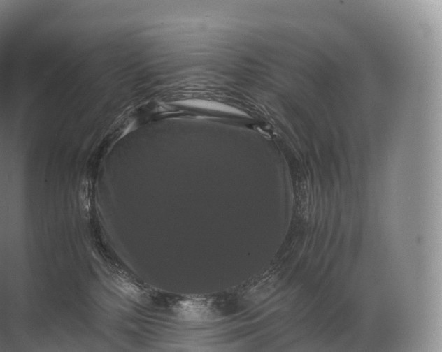 X0000071780232200607150103