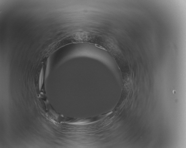 X0000071780233200607150103