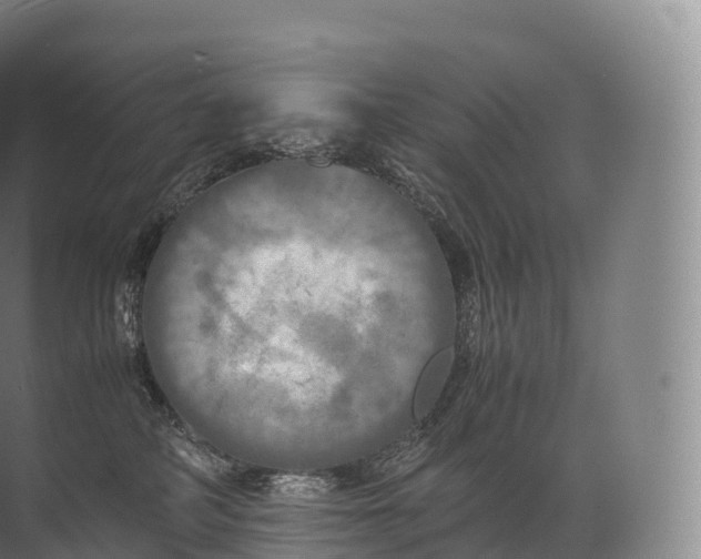 X0000071780234200607150103