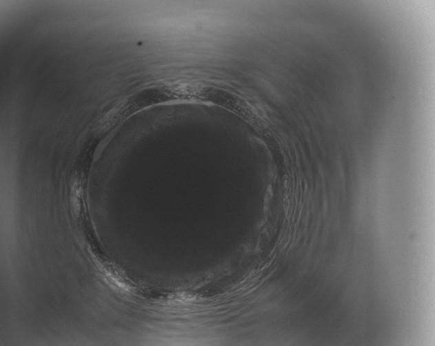 X0000071780235200607150103