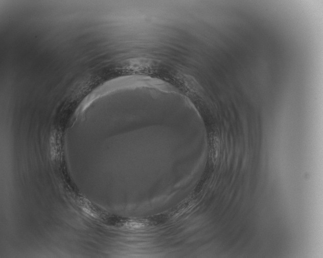 X0000071780236200607150103