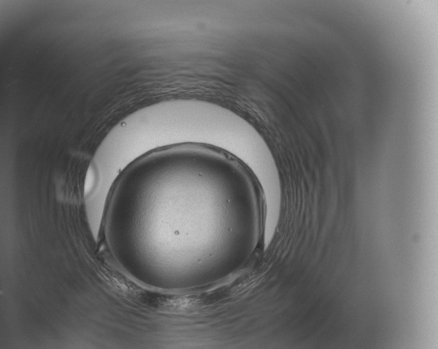 X0000071780237200607150103