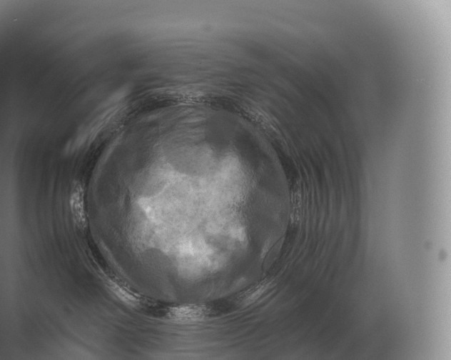 X0000071780238200607150103