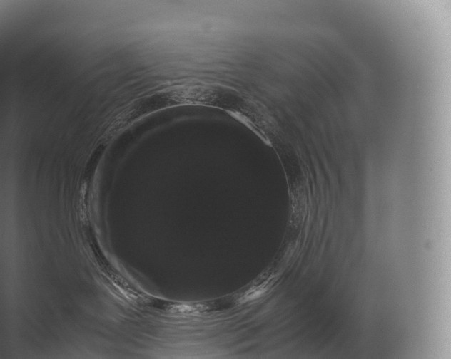 X0000071780239200607150103