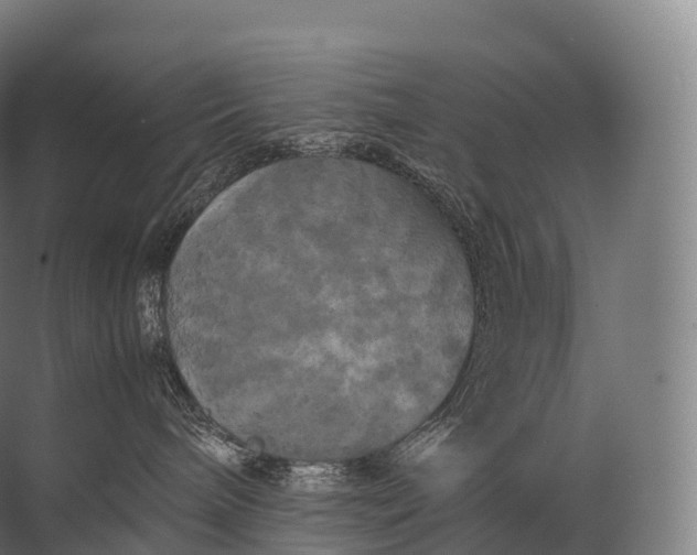 X0000071780240200607150103