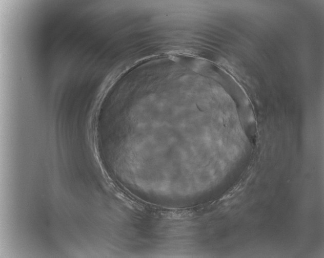 X0000071780241200607150102