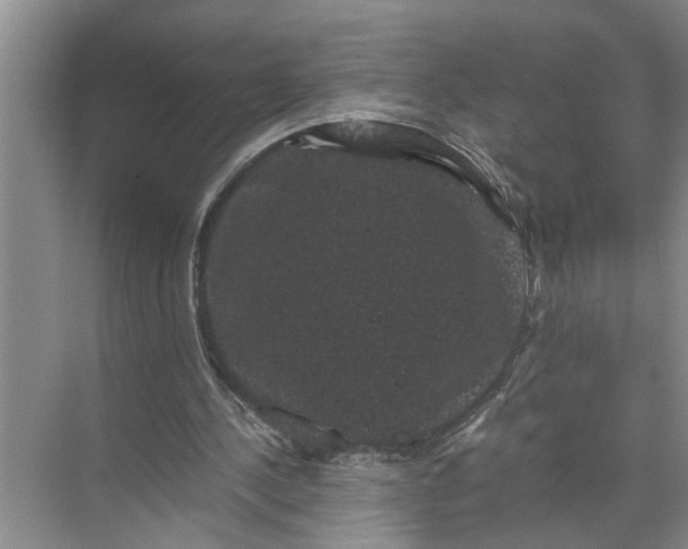 X0000071780244200607150102