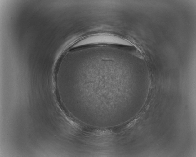 X0000071780245200607150102