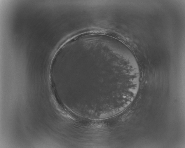 X0000071780247200607150102