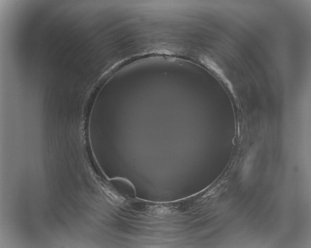 X0000071780249200607150102