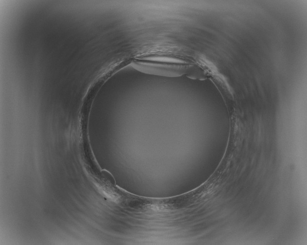 X0000071780250200607150102