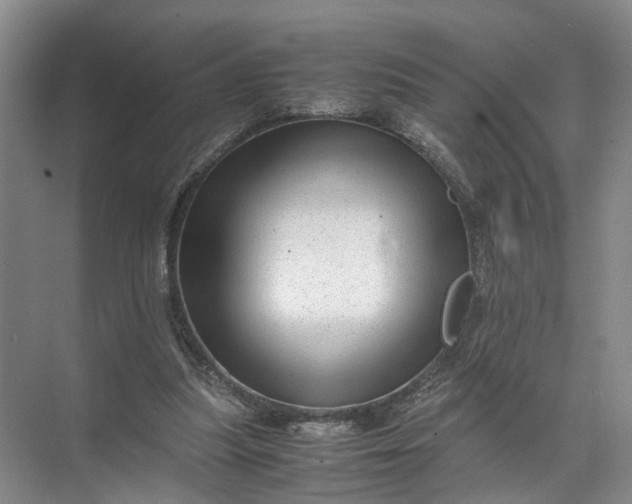 X0000071780251200607150102