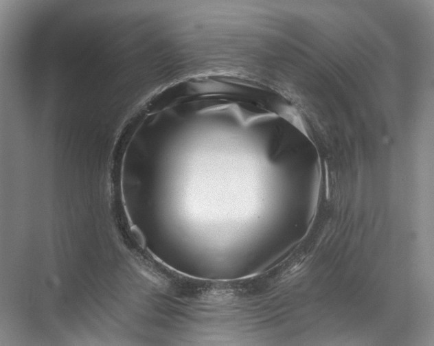 X0000071780252200607150102