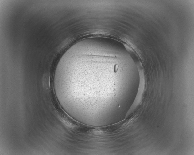 X0000071780253200607150102