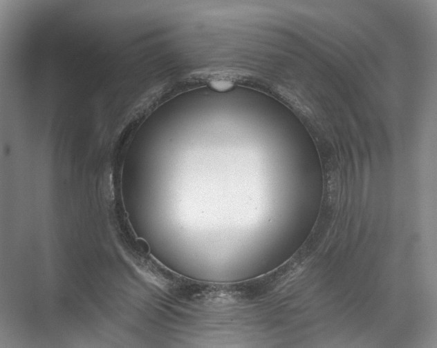 X0000071780254200607150102