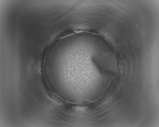 X0000071780255200607150102