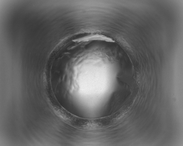 X0000071780256200607150102