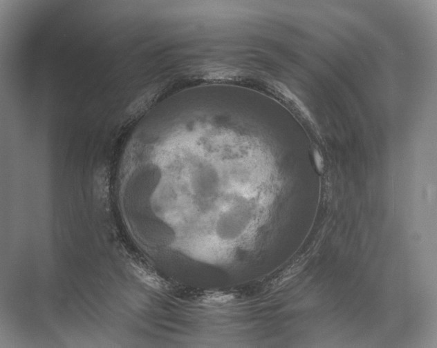 X0000071780257200607150102