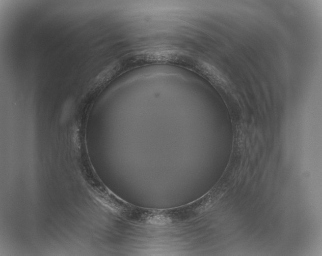 X0000071780258200607150102