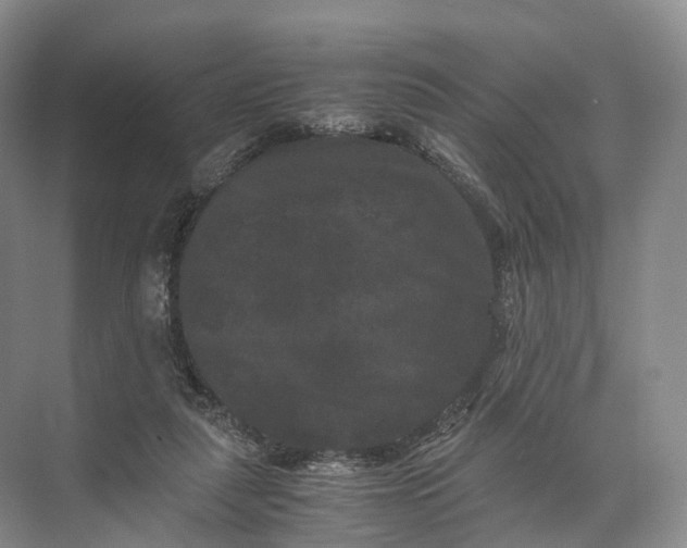 X0000071780259200607150102