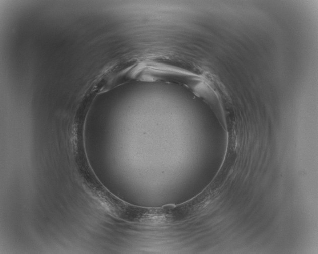 X0000071780260200607150102