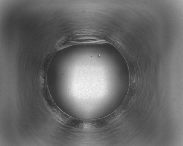 X0000071780264200607150102